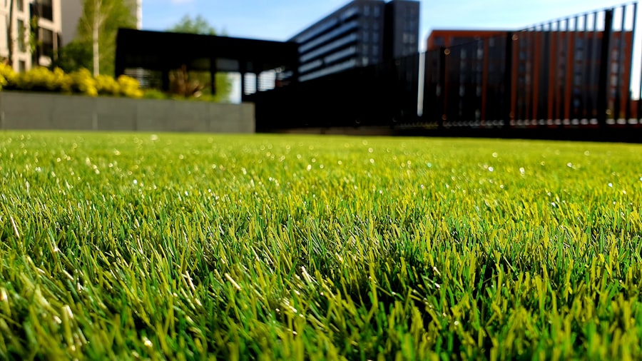 Lawn care and landscaping